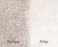 carpet cleaning ny before & after