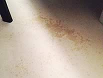 Carpet Stain Removal NYC