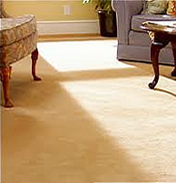 Carpet Cleaning NY Services